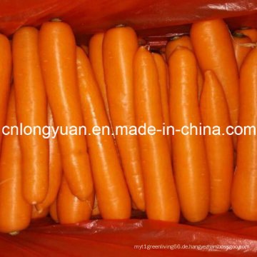 316 Typ Hohe Qualität von frischer Karotte